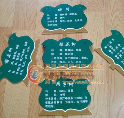 校園綠化新亮點 卡通樹木掛牌，讓樹木也有“身份證”